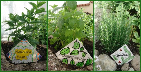 Kräuter und Fliessen