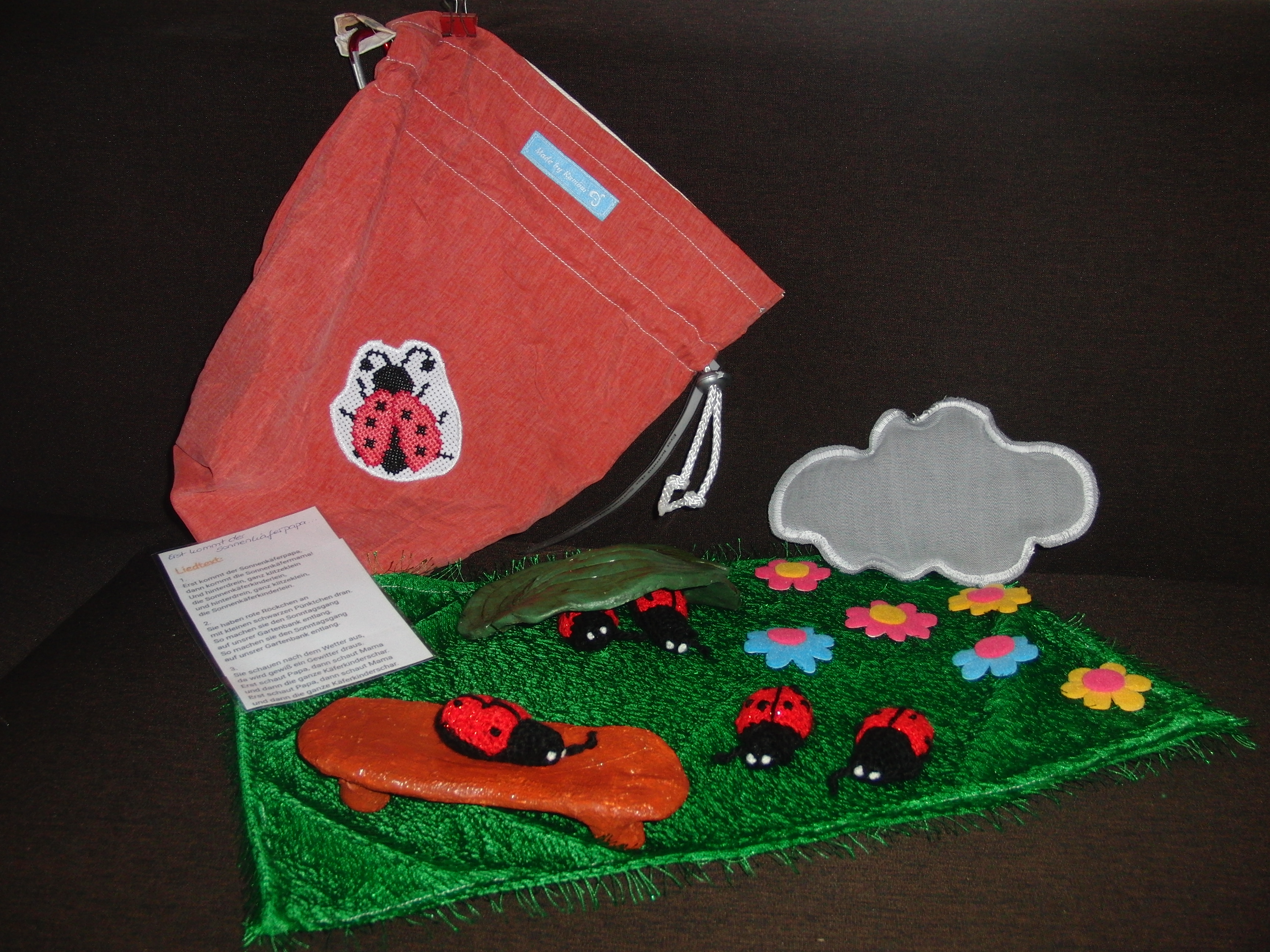 Erst kommt der Sonnenkäferpapa (1).JPG