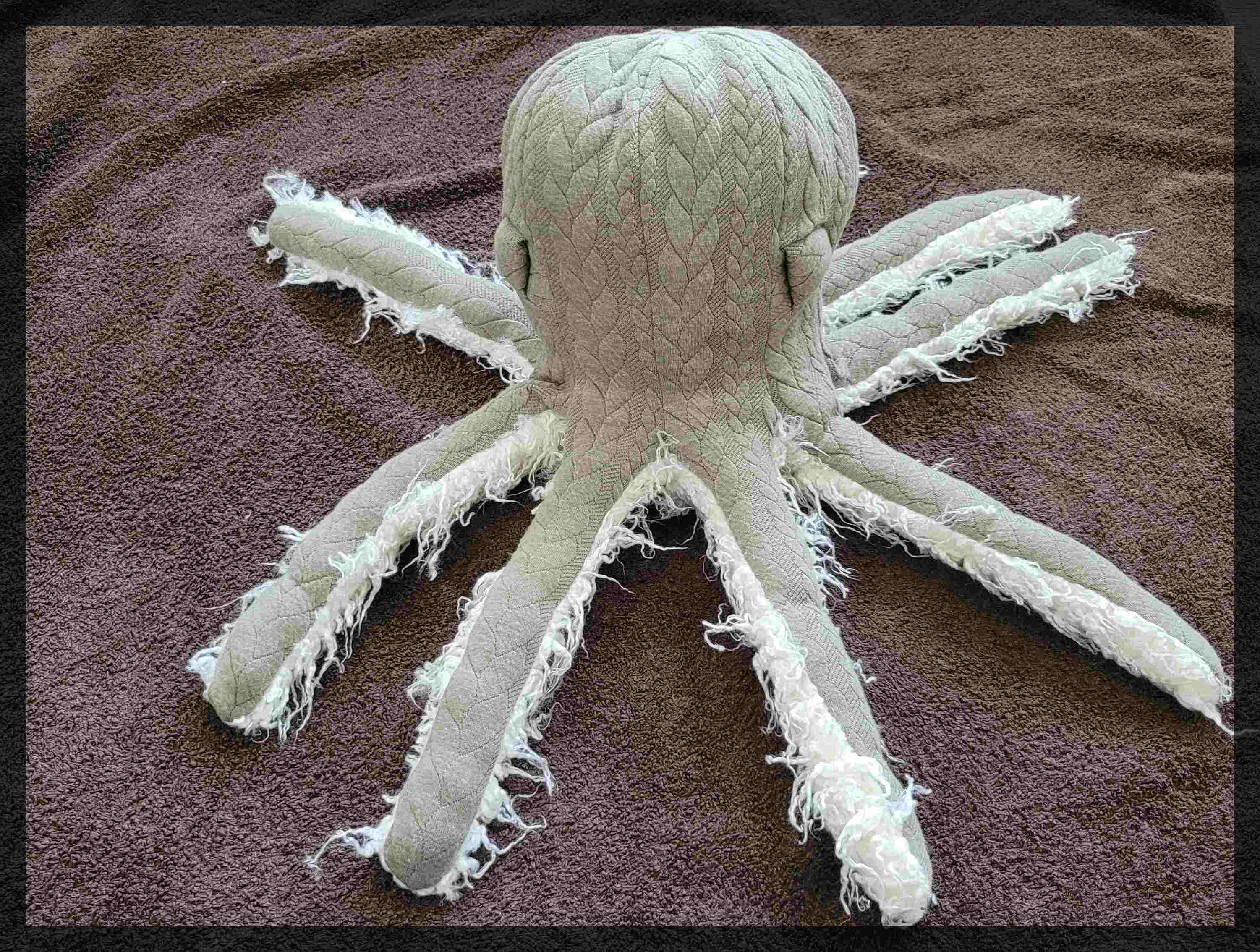 Otis The Octopus! (English Edition) Kindle Edition